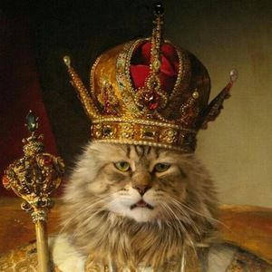 Meet your Posher, Gerald